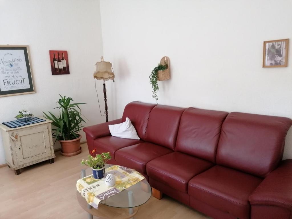 Ruestzeitenheim Sonnenschein Saalburg Dış mekan fotoğraf
